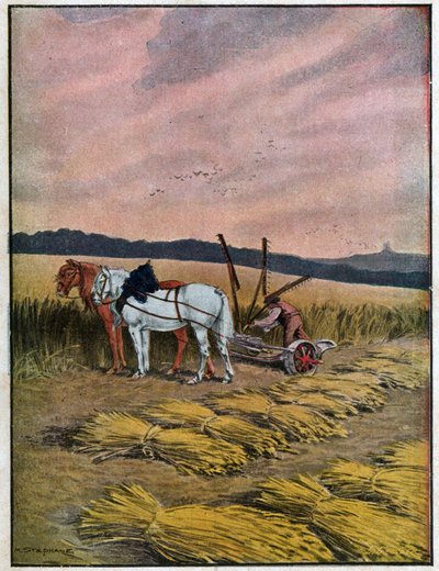 Harvest by Unknown